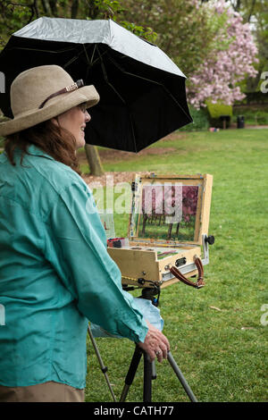 New York City, USA. 20. April 2012.  Frau malt ein Bild von der blühenden Oriental Kirschbäume in Brooklyn Botanic Garden. Stockfoto