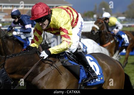 Ayr, UK 21.04.12 schottischen Grand National Week-End (Tag2) Galaxy Rock (Nr. 6) geritten von A.P. McCoy schließen während 2012 schottische Grand National. Stockfoto