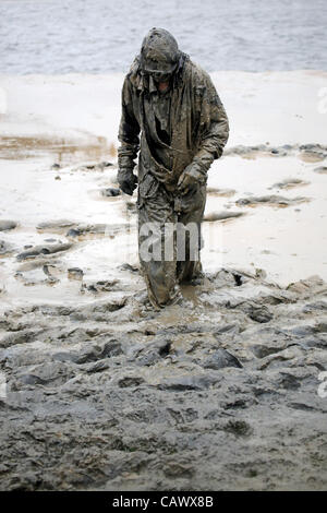 Maldon, Essex, England. Sonntag, 29. April 2012. Teilnehmer, schlammig, dass die jährlichen Maldon Mud Race 2012 laufen. Stockfoto