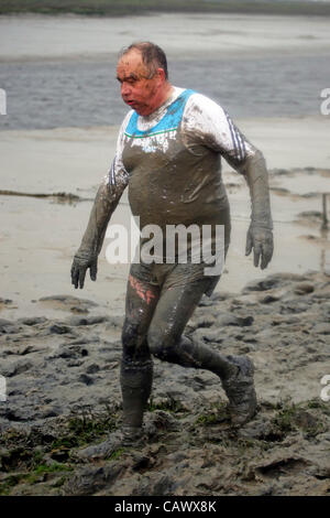 Maldon, Essex, England. Sonntag, 29. April 2012. Teilnehmer, schlammig, dass die jährlichen Maldon Mud Race 2012 laufen. Stockfoto