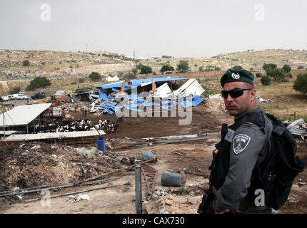 1. Mai 2012 - Hebron, Westjordanland, Palästina - israelische Soldaten umgeben einen Bulldozer, wie es einen palästinensischen Bauernhof Kühe in der Westbank-Stadt Hebron, Mai zerstört. 01, 2012. Berichten zufolge, die die Spannungen stiegen, als palästinensische Häuser, von den israelischen Behörden für angeblich nicht Havi zerstört wurden Stockfoto