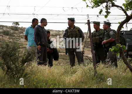 1. Mai 2012 - Hebron, Westjordanland, Palästina - israelische Soldaten umgeben einen Bulldozer, wie es einen palästinensischen Bauernhof Kühe in der Westbank-Stadt Hebron, Mai zerstört. 01, 2012. Berichten zufolge, die die Spannungen stiegen, als palästinensische Häuser, von den israelischen Behörden für angeblich nicht Havi zerstört wurden Stockfoto