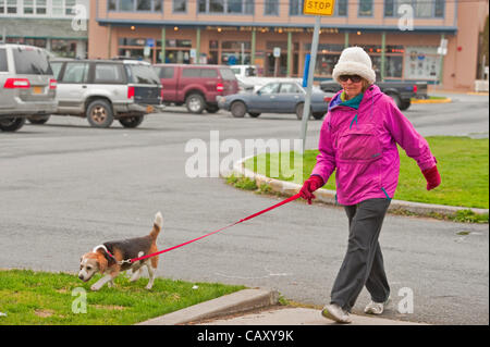 Ältere Frau zu Fuß älteren Beagle in Sitka, Alaska Stockfoto