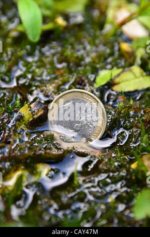 Euro sinkt tiefer in den Sumpf nach Wahlen in Frankreich und Griechenland Stockfoto