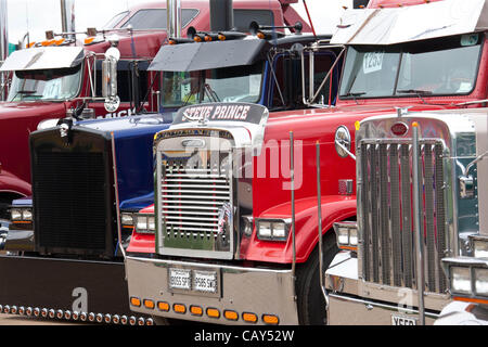 Peterborough, Cambridgeshire, Großbritannien. 7. März 2012. LKW aus ganz Großbritannien kam dem Truckfest Ereignis bei East Of England Showground, Peterborough geführt Stockfoto