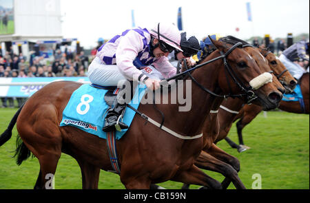 GÜNSTIGEN Bedingungen GERITTEN von JAMES SULLIVAN gewinnt YORK RACECOURSE YORK ENGLAND 18. Mai 2012 Stockfoto