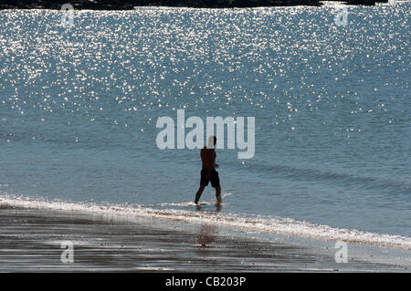 Swansea - UK 22. Mai 2012 - A Schwimmer macht seinen Weg ins Meer bei Langland Bucht in der Nähe von Swansea, Südwales heute Morgen in der Mai-Sonne. Stockfoto