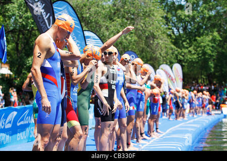 ITU Triathlon World Series MAdrid - Campeonato del Mundo de Triatlon; Männer Elite Serie Test - 27.05.2012 - Athleten bereiten die Schwimmstrecke Stockfoto