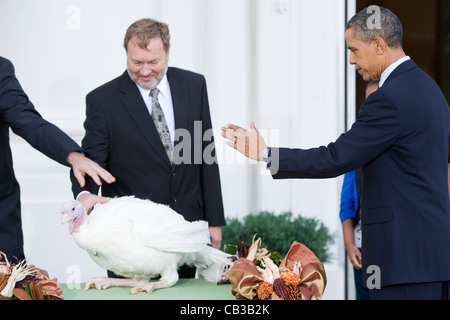 Präsident Barack Obama und Töchter Sasha und Malia verzeihen 2011 nationalen Thanksgiving-Truthahn. Stockfoto