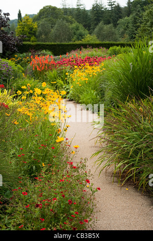 Die heißen Garten im Sommer, RHS Rosemoor, Devon, England, Vereinigtes Königreich Stockfoto