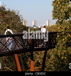 Xstrata Treetop Gehwege in Kew Gardens in London Stockfoto