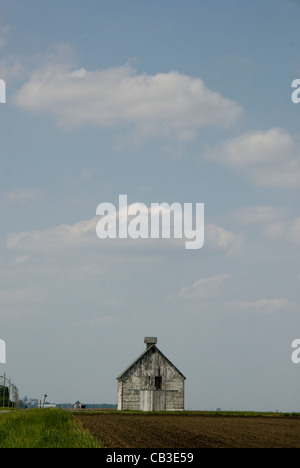 Scheune auf Grasland, in der Nähe von Champaign-Urbana, Illinois, USA Stockfoto