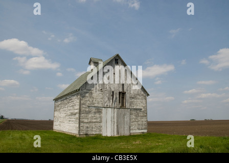 Scheune auf Grasland, in der Nähe von Champaign-Urbana, Illinois, USA Stockfoto