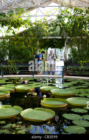 Waterlily House in Kew Gardens in London Stockfoto