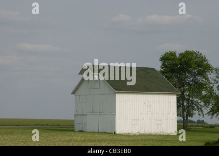 Scheune auf Grasland, in der Nähe von Champaign-Urbana, Illinois, USA Stockfoto