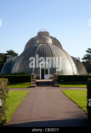 Palm House in Kew Gardens in London Stockfoto