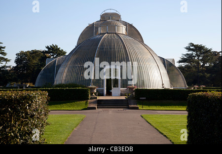 Palm House in Kew Gardens in London Stockfoto