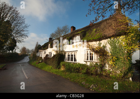 Die Klammer des Fasane Inn im Ortsteil Plüsch nördlich von Dorchester in Dorset Stockfoto