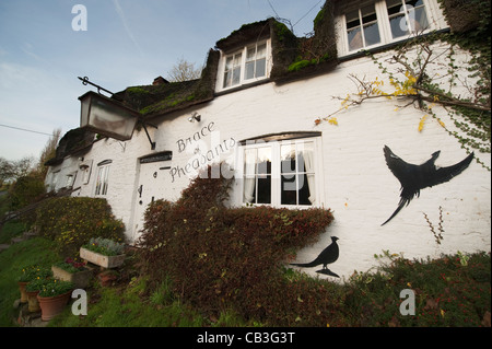 Die Klammer des Fasane Inn im Ortsteil Plüsch nördlich von Dorchester in Dorset Stockfoto