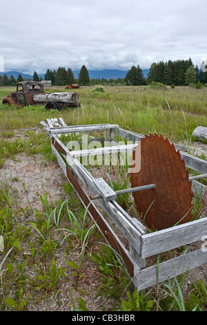 Sägewerk bleibt. Gustavus. Gletscher-Bucht. Alaska. USA Stockfoto