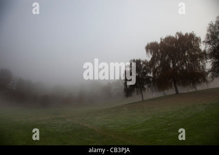 Dichter Nebel in London. Unheimliche Atmosphäre als Dichter Nebel steigt im Greenwich Park. Stockfoto