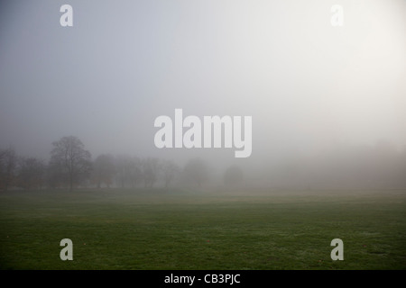 Dichter Nebel in London. Unheimliche Atmosphäre als Dichter Nebel steigt im Greenwich Park. Stockfoto