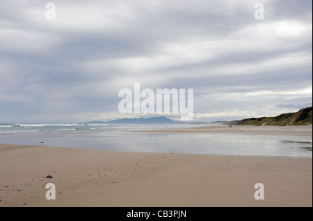 Mount Heemskirk reichen von Strand, Westküste, Tasmanien, Australien Stockfoto