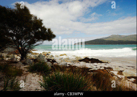 Wineglass Bay Strand und Tasmansee, Freycinet National Park, East Coast, Tasmanien, Australien Stockfoto