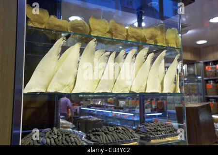 getrocknete Haifischflossen in einem Fisch-Geschäft auf Sheung wans getrocknete Meeresfrüchte Querstraße des Voeux Road West Hongkong Island Sonderverwaltungsregion Hongkong china Stockfoto