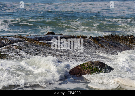 Wellen, die über Felsen, Bay of Fires, North East Coast, Tasmanien, Australien Stockfoto