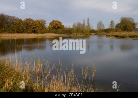 Herbstliche Bäume spiegeln sich in den stillen Wassern des Sees in Suffolk, England Stockfoto