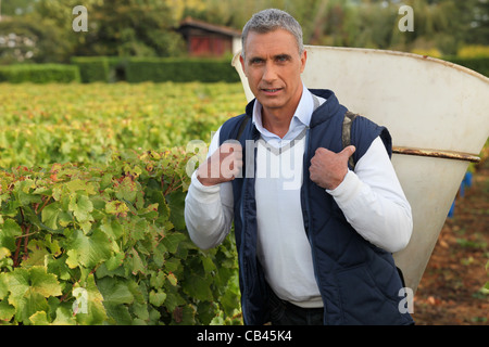 reife Trauben-Picker mit Hod auf seinem Rücken Stockfoto