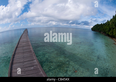 Der einladende Pier am Jellyfish Lake, Jellyfish Lake, Insel Kakaban, Berau, Kalimantan, Borneo, Indonesien, Pazifik Stockfoto