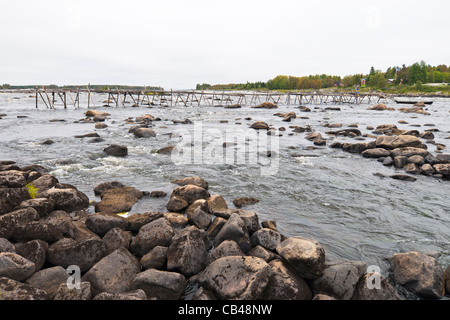 Brücke für Felchen Fang mit Kescher Fisch in Torne Fluss, Kukkola Stream, an der Grenze zwischen Schweden und Finnland. Stockfoto