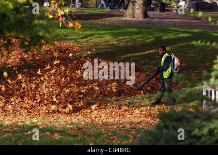 Ein Gärtner in St James Park, London Clearing Blätter mit einem
