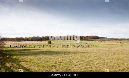 Woodhenge, Wiltshire. Die Reste einer Holzkonstruktion in der Nähe von Stonehenge. Stockfoto