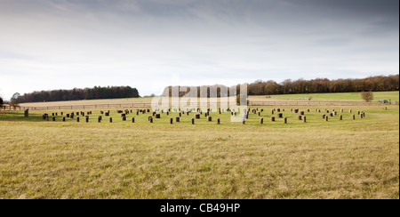 Woodhenge, Wiltshire. Die Reste einer Holzkonstruktion in der Nähe von Stonehenge. Stockfoto