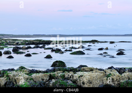 Blick auf Largo Bay Strand am Lower Largo in der East Neuk of Fife, Schottland in der Abenddämmerung entnommen. Stockfoto