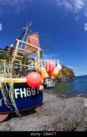 Angelboote/Fischerboote am Strand von Cadgwith, Halbinsel Lizard, Cornwall, Südwestengland, UK, Vereinigtes Königreich, GB, Großbritannien, Stockfoto