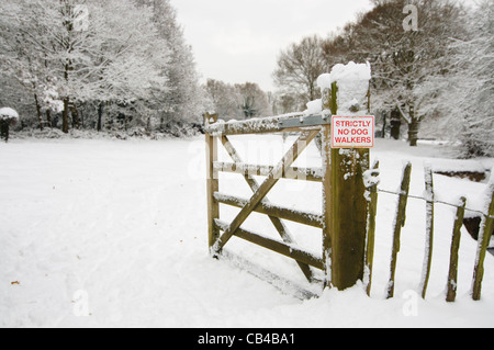 Ein offenes Tor auf dem Schnee bedeckt Golfplatz - kein Hundebesitzer Stockfoto