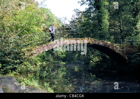 Römische Brücke, ein Lastesel-Brücke über den Fluss Goyt zwischen Marple und Strines, in der Nähe von Stockport, grösseres Manchester. Stockfoto