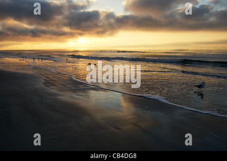 Sonnenaufgang vom Strand auf Hilton Head Island von Jim Crotty Stockfoto