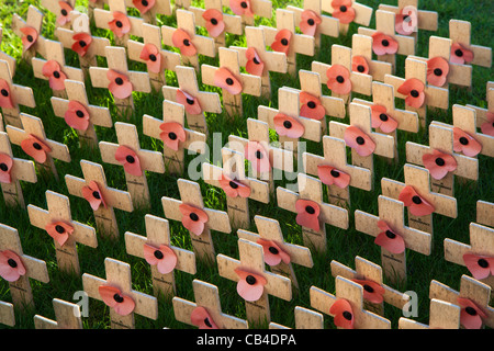 In der Erinnerung. Mohn Tag Kreuze Stockfoto