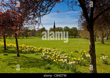 Wandern im Frühling, Harrogate, Nordyorkshire Stockfoto