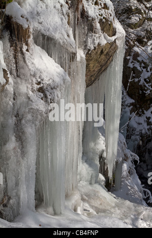 Eiszapfen Stockfoto