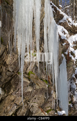 Eiszapfen Stockfoto