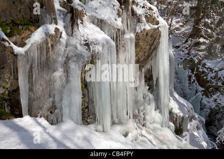 Eiszapfen Stockfoto