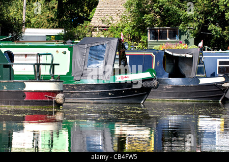 Vier Narrowboats vor Anker in einer Marina am Fluss Nene.  Schwerpunkt liegt auf den Bögen und Sterns jedes Boot. Stockfoto