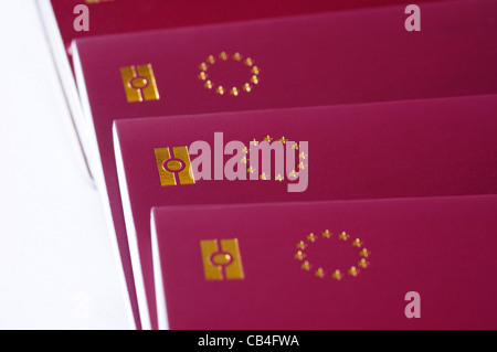 Länder der Europäischen Union Pässe, Identifikation biometrischer Reisepass, EU-Sterne auf weißem Hintergrund Stockfoto
