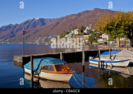 Alter Hafen von Ascona, Tessin, Schweiz mit Blick auf Monte Verita und Moscia Stockfoto